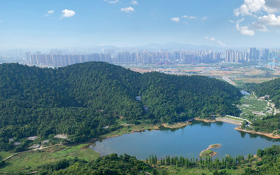 ca88手机客户端(安卓/苹果)CA88会员登录入口