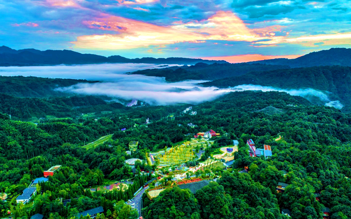 ca88手机客户端(安卓/苹果)CA88会员登录入口